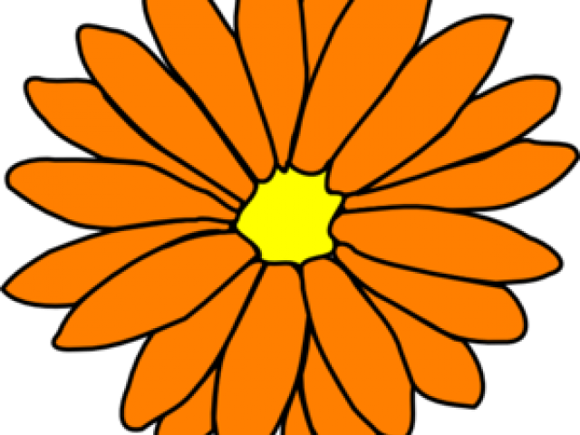 Single Flower Coloring Flower (640x480), Png Download