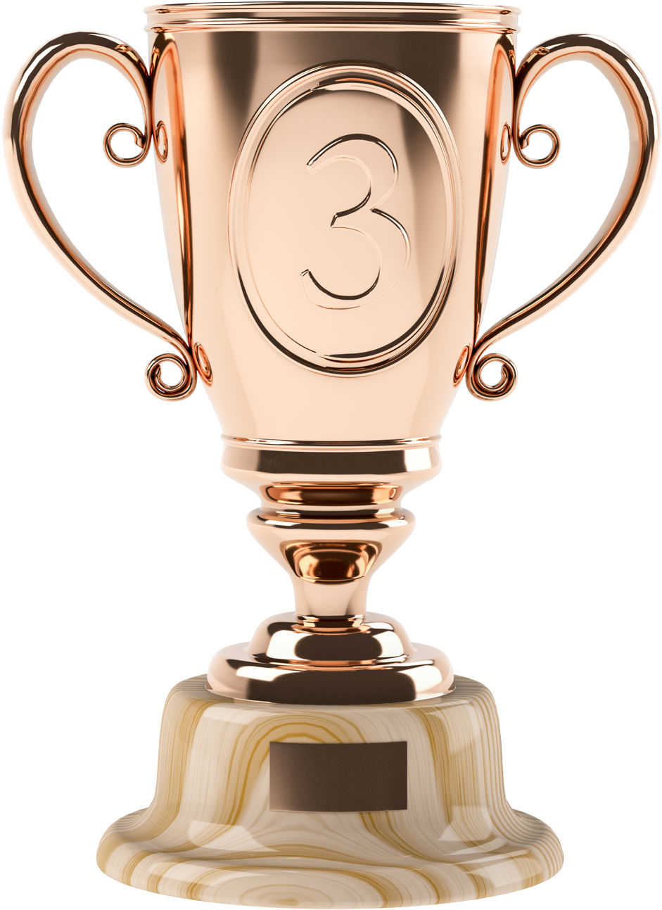 Bronze Cup Third Three - Copa De Bronce Png (720x720), Png Download