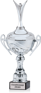 Trophy Cup Silver Png (300x400), Png Download