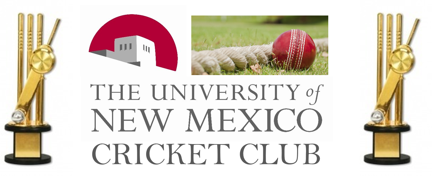 Unm Cricket Cup Spring - Artificial Turf (1415x632), Png Download