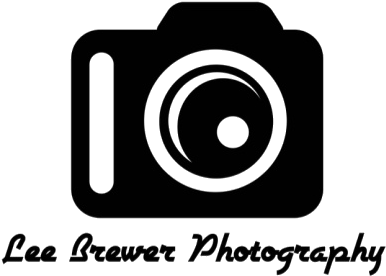 Pin It On Pinterest - Circle (487x341), Png Download