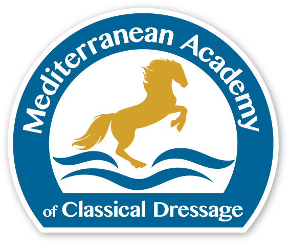 Logo Design - National Veteran Small Business Coalition (792x576), Png Download