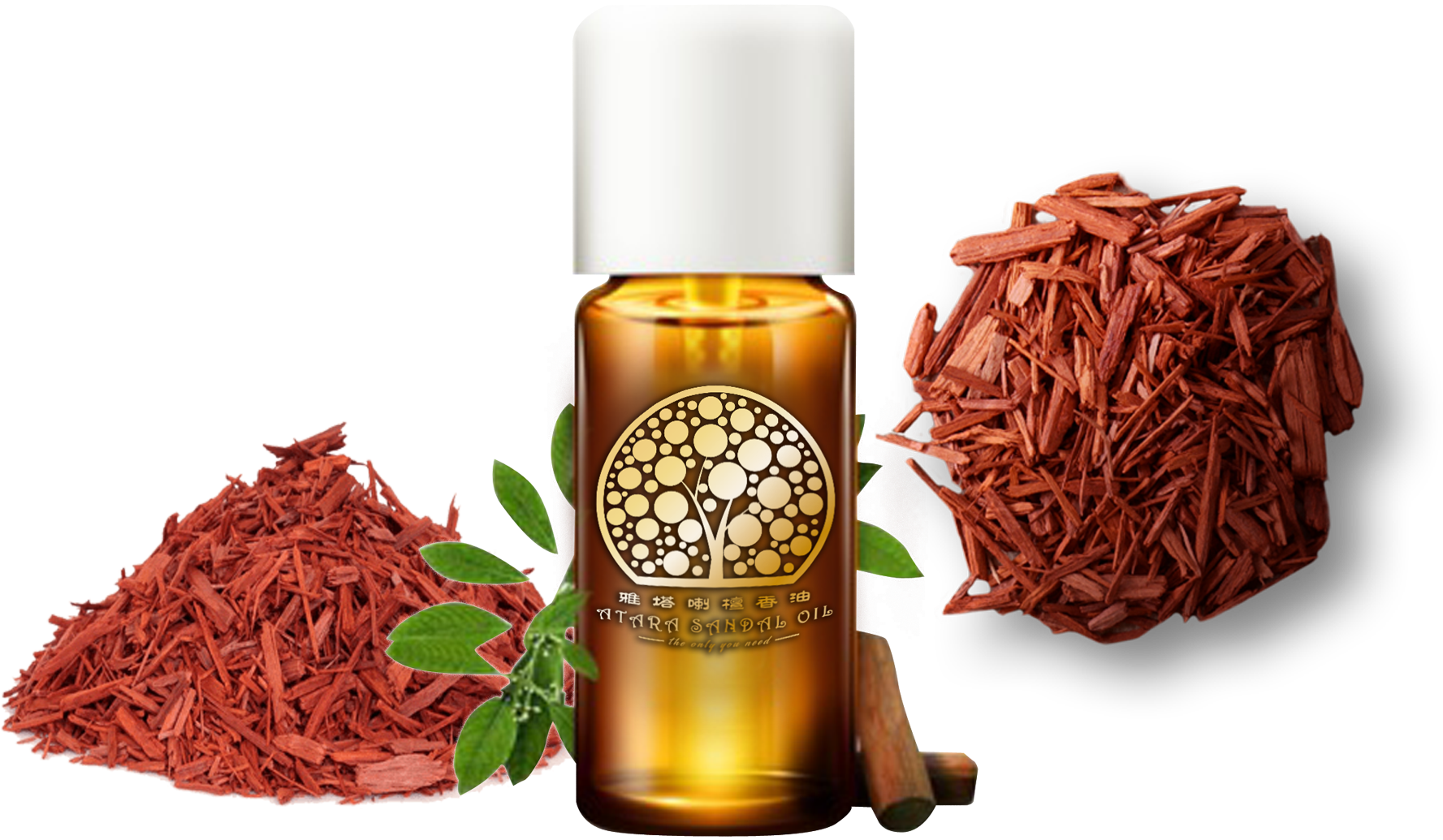 Free Html5 By Freehtml5 - Poo-pourri Preventive Bathroom Odour Spray (1920x1140), Png Download