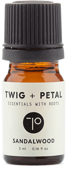 Sandalwood 1 Sandalwood - Fruit (600x900), Png Download