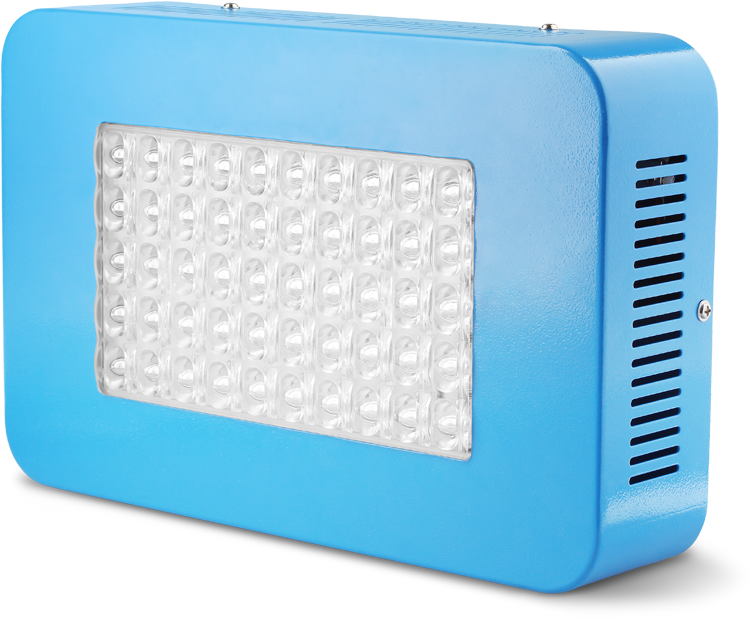 Sandalwood (936x619), Png Download