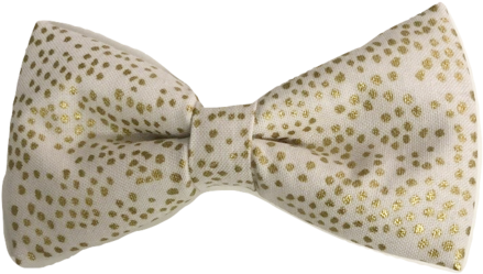 Sugar N Spice Pearl Gold Bow Tie - Polka Dot (480x272), Png Download