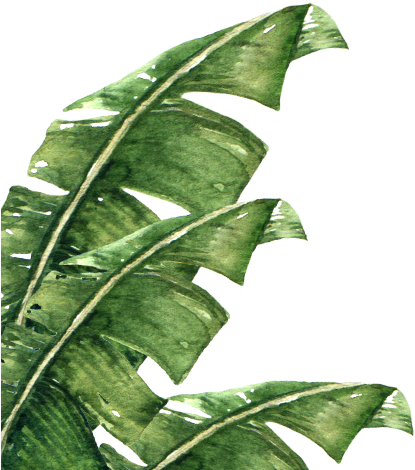 Services Leaves1 - Bone (500x475), Png Download