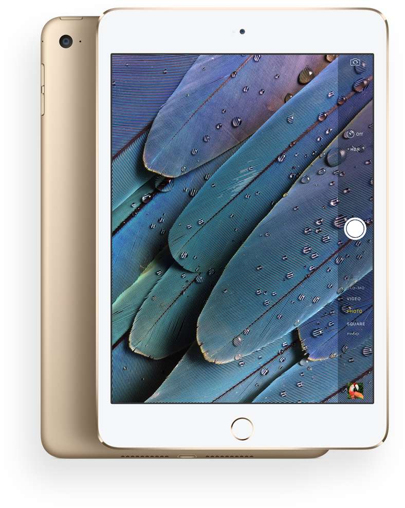 The Apple Ipad Mini Didn't Get The Limelight, Which - Ipad Mini 4 (788x987), Png Download