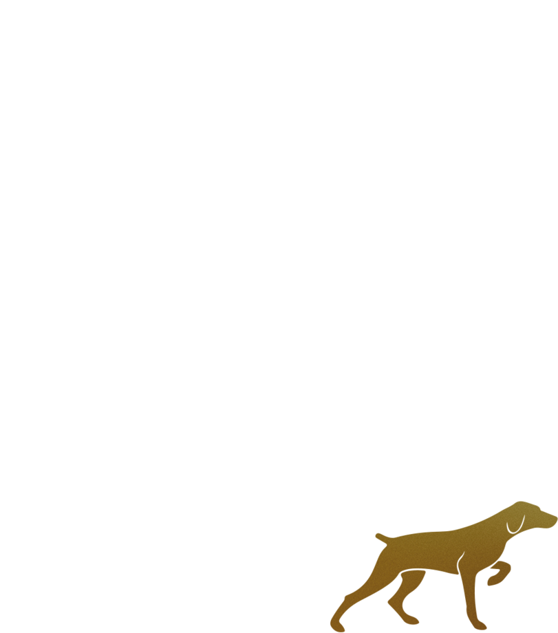Logo Large - Better Sorts Social Club (951x1140), Png Download