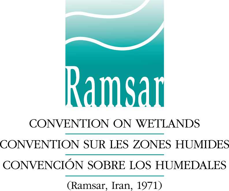 Other Acceptable Logo Versions - Convencion Ramsar De 1971 (793x662), Png Download