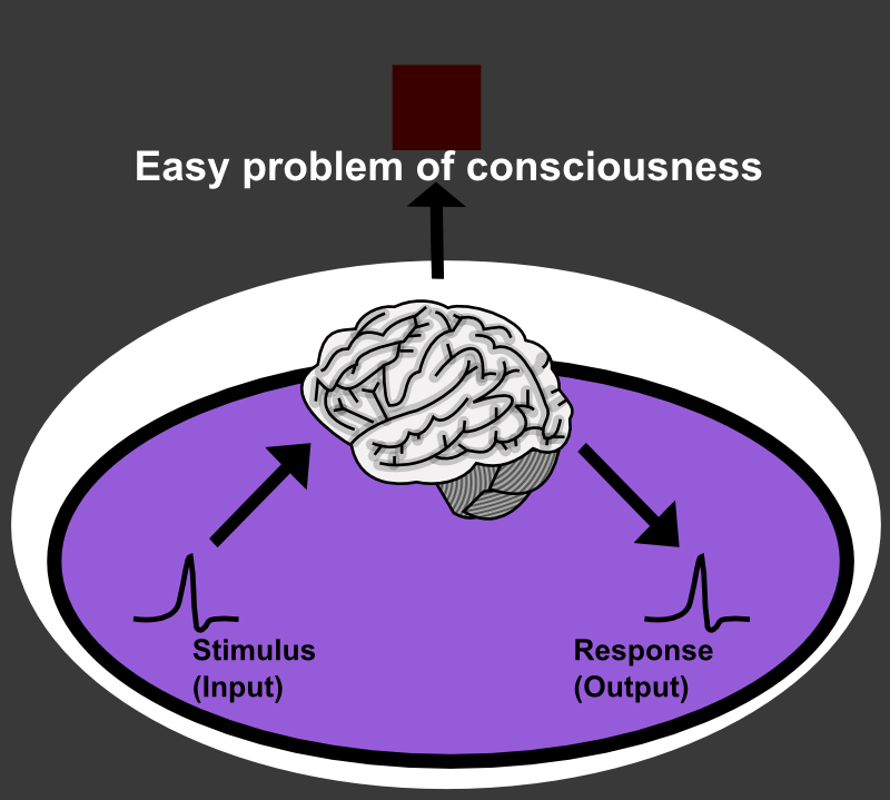 A hard problem. Хард проблем. картинки net problem!. consciousness philosophy. easy problem.