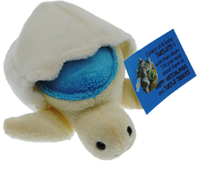 Buzz Aqua Turtle Hatchling Plush Toy With Attached - Toy Turtles (500x500), Png Download