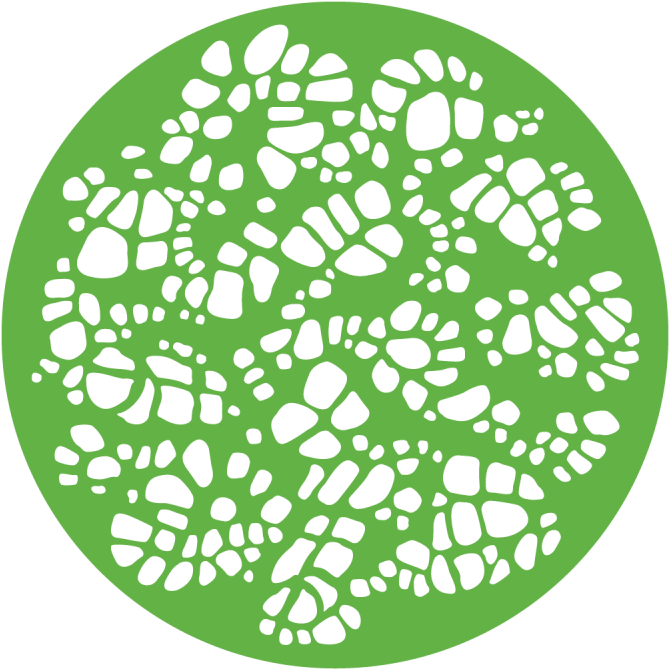 Turtle Shell - Apollo Design 1019 Turtle Shell Glass Pattern C1-1019 (800x800), Png Download