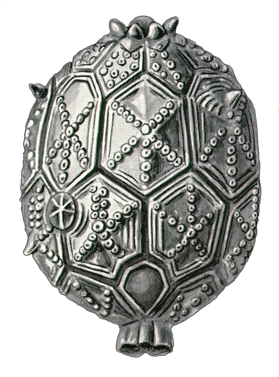 Art Forms In Nature (574x776), Png Download