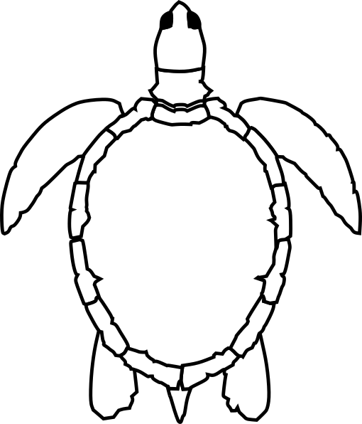 Sea Turtle Outline (510x596), Png Download