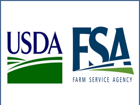 U S D A And Farm Service Agency Logos - Usda Fsa (450x338), Png Download