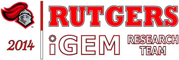 From 2014 - Igem - Org - Fathead Rutgers Scarlet Knights Teammate Wall Decal (600x270), Png Download