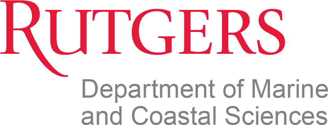 Imcs, Rutgers University, New Brunswick, Nj, Usa - Mason Gross School Of The Arts Logo (1071x432), Png Download