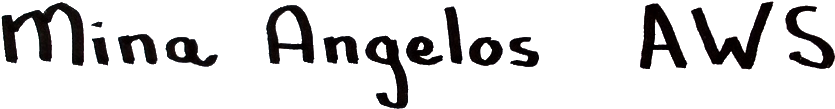 Mina Angelos Aws Logo - Logo (915x184), Png Download