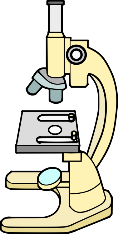 Microscope Microsoft Word Logo Computer Icons - Microscope Images Clip Art (378x749), Png Download