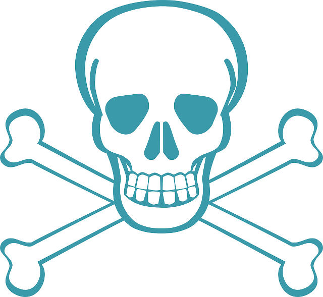 Death's Head, Skull, Skull And Crossbones, Crossbones - Danger Clip Art (640x589), Png Download