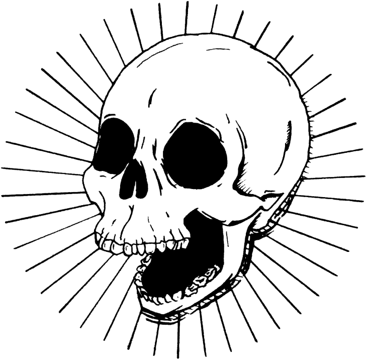 Large Size Of Drawing - Skull (1084x1084), Png Download