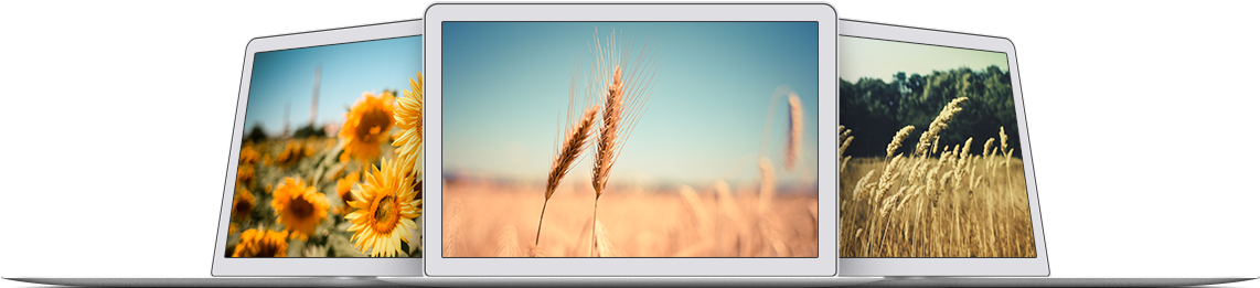 Image 23 Devices - Wheat In The Wind Throw Pillow Cover (1200x300), Png Download