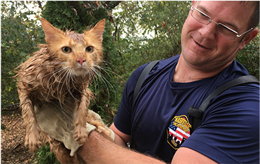 Good News Thomas Jefferson - Nashville Fire Department (540x238), Png Download