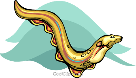 Eel - Clip Art (480x275), Png Download