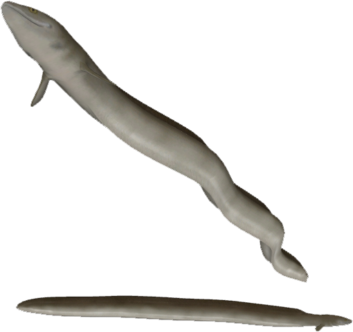 Fangtooth Moray Eel - Zoo Tycoon (596x547), Png Download