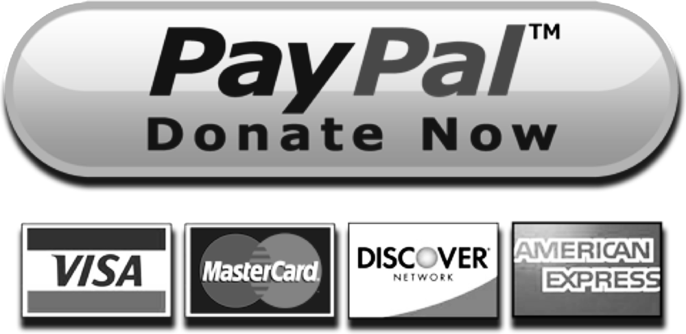 Paypal Donation Button Copy - Paypal Donation Button (1000x487), Png Download