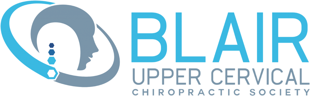 Blair Nonprofit Logonew - Chiropractic (1028x382), Png Download