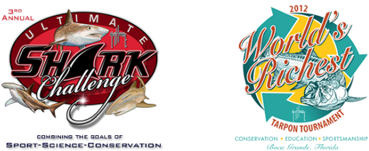 Creators - Guy Harvey (595x221), Png Download