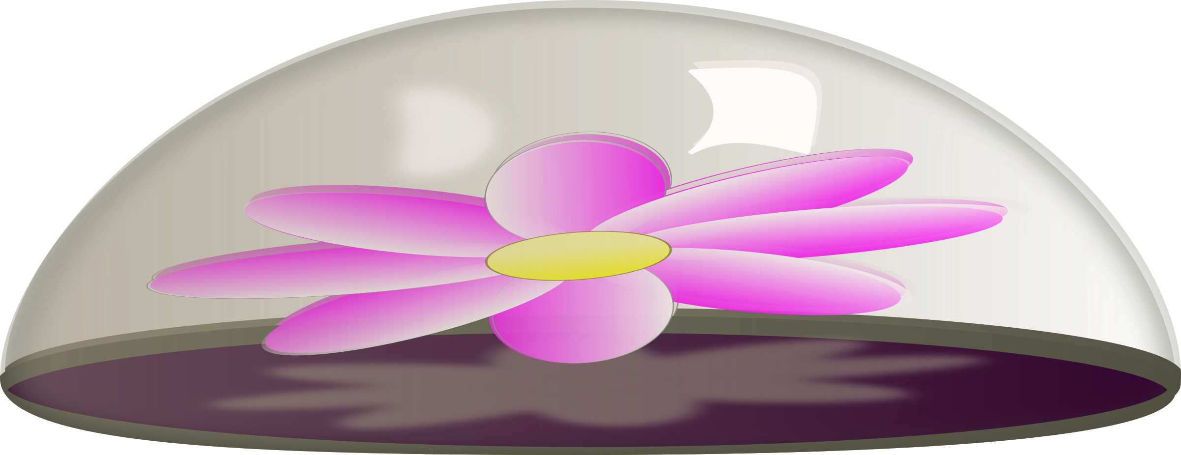 Flower In Glass Paper Weight Vector Free Download - Paper Weight Clipart (2400x926), Png Download