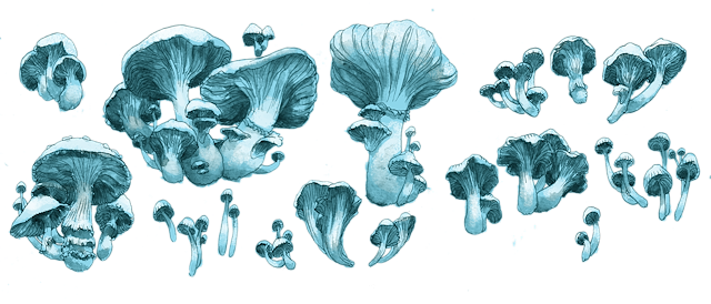 “dan Denton's Video Design - Illustration (640x274), Png Download