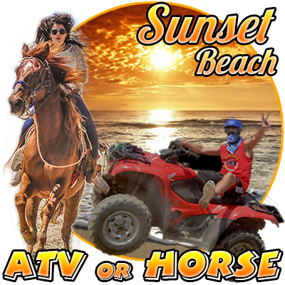 Sunset Beach Atv / Horse By Amigos Cabo - Stimuknowlogy: 365 Stimulators For Successful Leadership (400x400), Png Download
