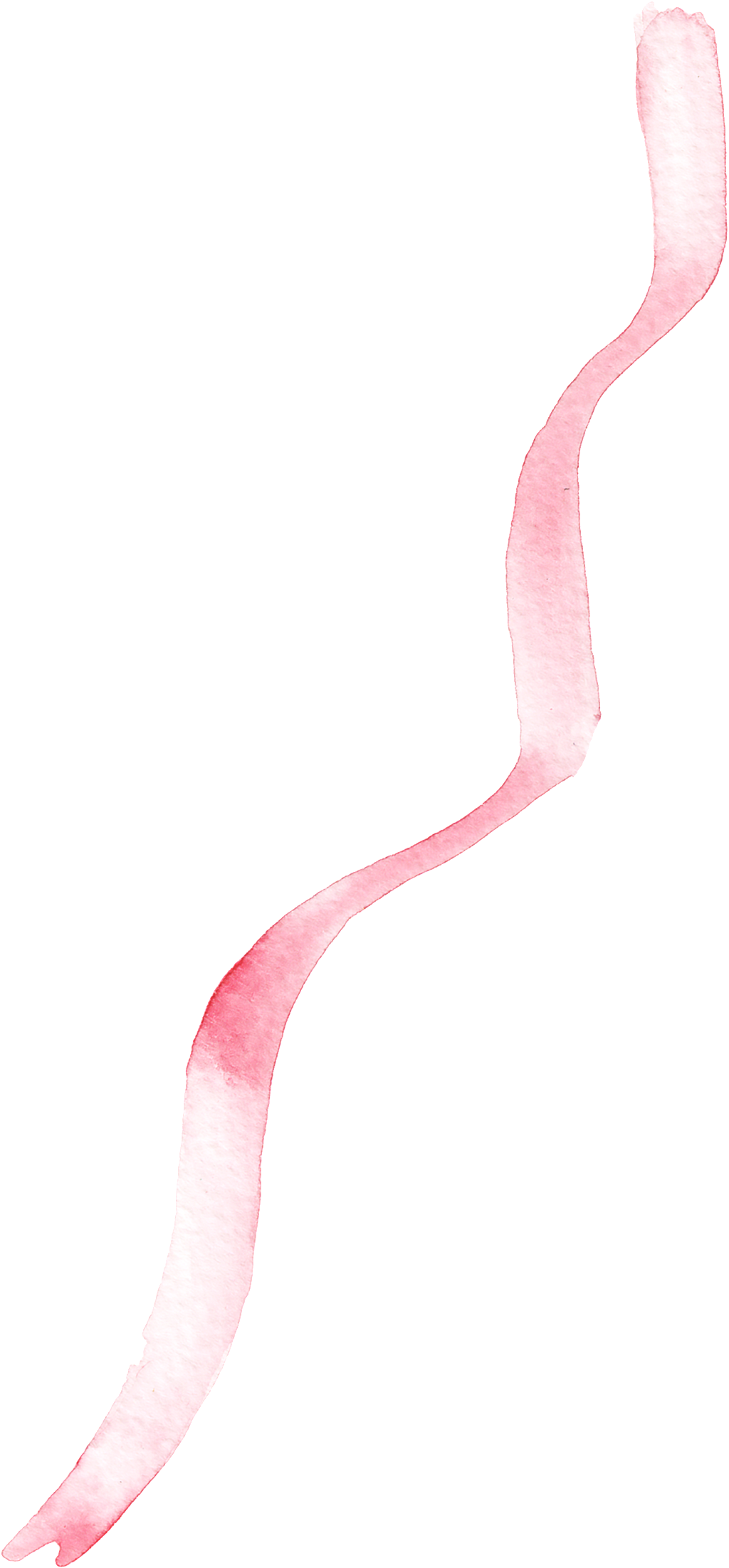 Soft Ribbon Cartoon Transparent - Greater Flamingo (1024x2203), Png Download