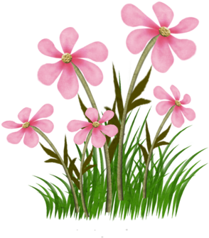 0 14c6e4 Dd50b1ea Orig Flowers &amp - Flower (491x500), Png Download