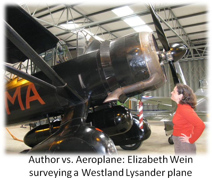 With The Comparison To Anne Shirley And Diana Barry - Vought F4u Corsair (731x626), Png Download