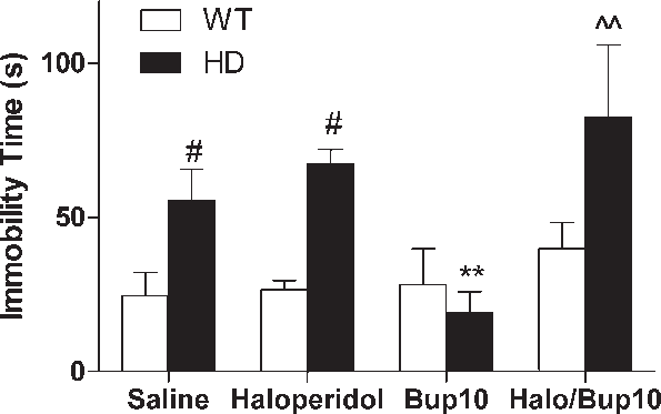 Effect Of Hd Mutation And Acute Bupropion Administration - Diagram (595x373), Png Download
