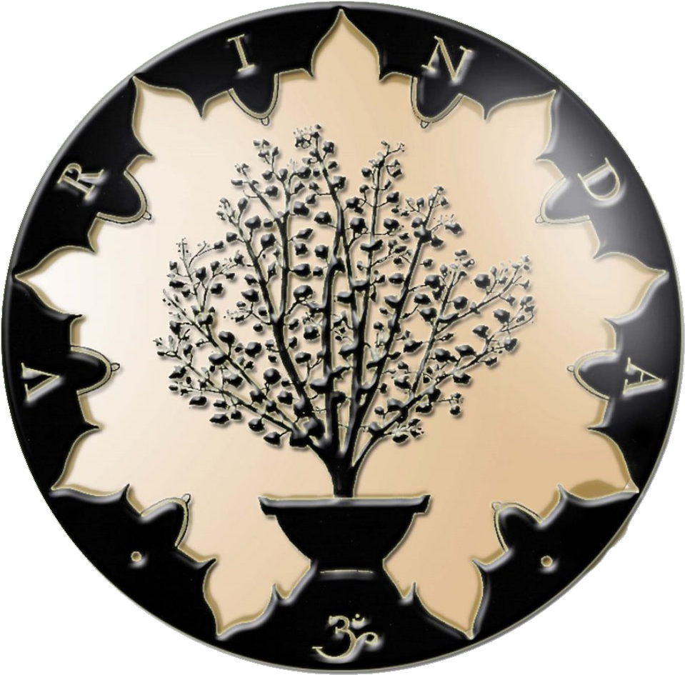 Chardham Yatra 2012 Vrinda - Mision Vrinda Png (992x977), Png Download