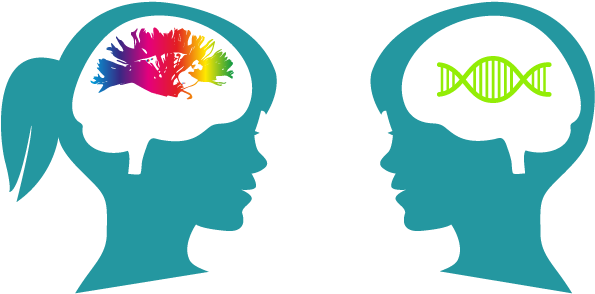 Vector Free Library Mrc Cognition And Brain Sciences - Cognition (884x443), Png Download