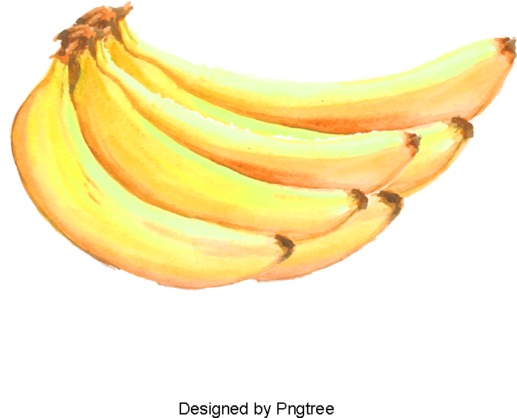 Fruit,watercolor,banana, Fruit Vector, Watercolor Vector, - Fruit (800x800), Png Download