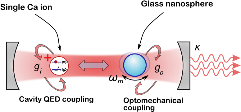 Despite Its Similarity To The Field Of Cavity Qed, - Cartoon (786x371), Png Download