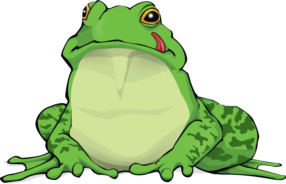 Amphibian Png Free Download - Amphibian Png (937x603), Png Download