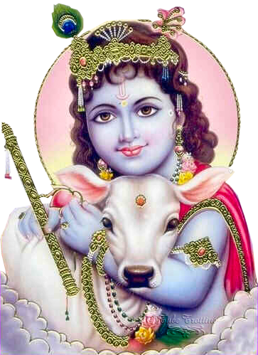 Radha Krishna Png Tubes Et Misted Divines Hindous - God Krishna (363x499), Png Download