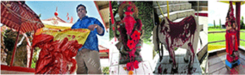 Indians Shocked At Fiji Temples Desecration - Shichi-go-san (505x306), Png Download