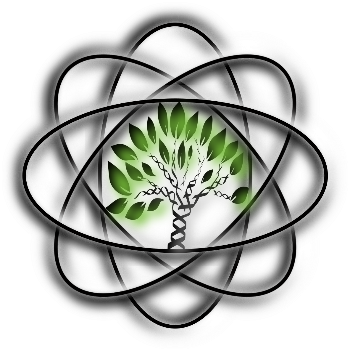 Les Empereurs Romains (1233x1180), Png Download