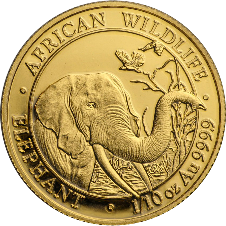 2018 Somalian Elephant 1/10oz Gold Coin - Złota Moneta Słoń Somalijski (900x900), Png Download