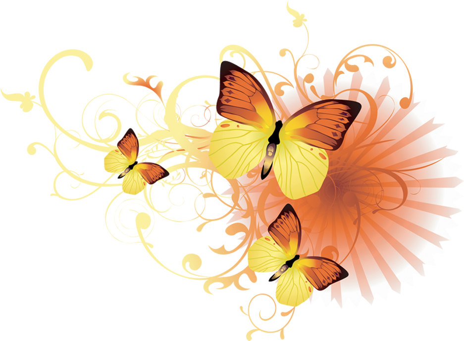 Happy Birthday Wishes For A Wonderful Person (1024x768), Png Download